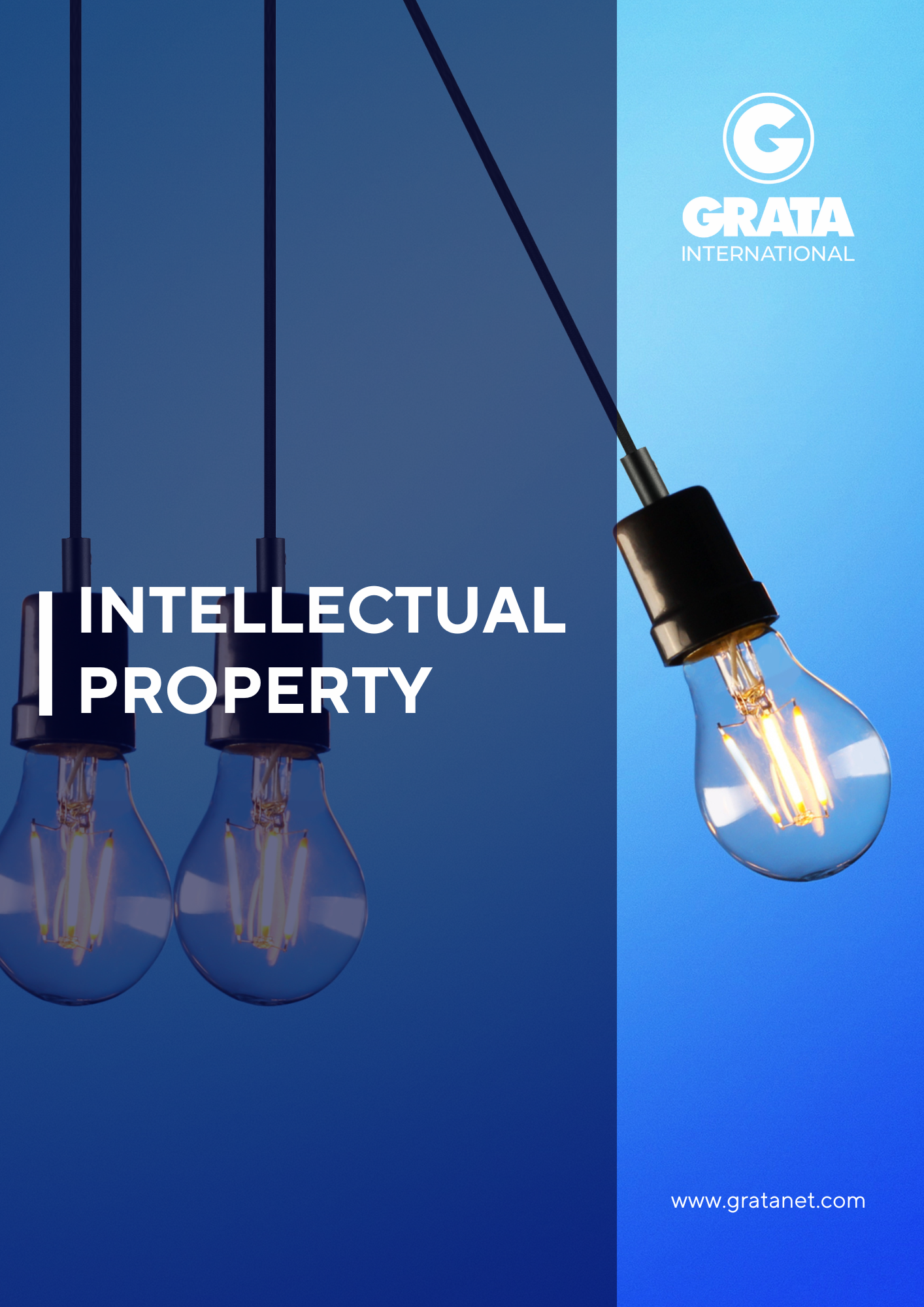 Intellectual_Property_2024